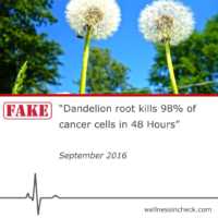 Fact Check Dandeloin root