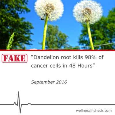 Fact Check Dandeloin root
