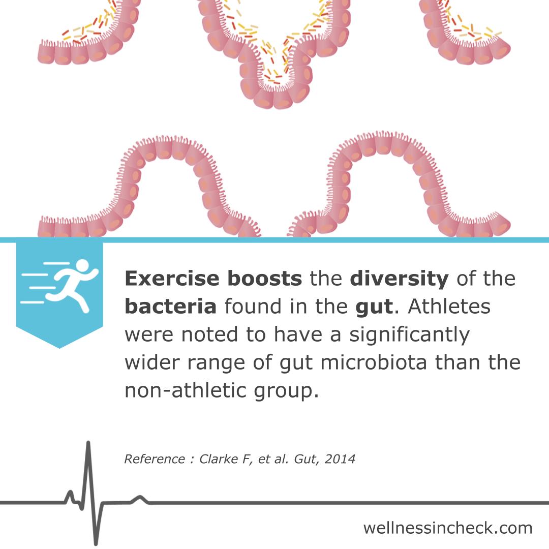 Exercise For Gut Health