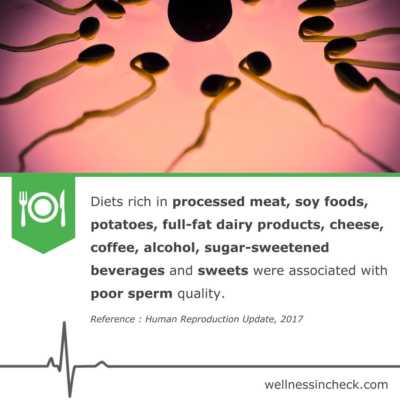 study soy sperm count