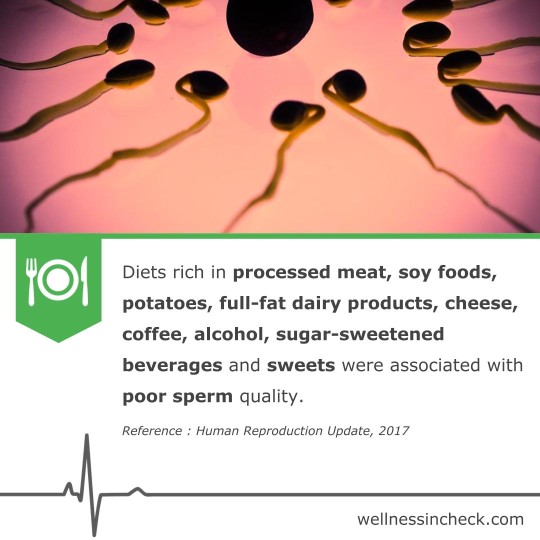 study soy sperm count