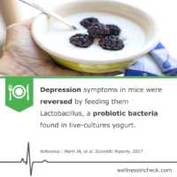 Best Probiotic For Depression