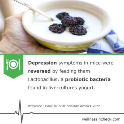 Best Probiotic For Depression