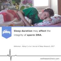 Lack Of Sleep Affect Sperm Quality