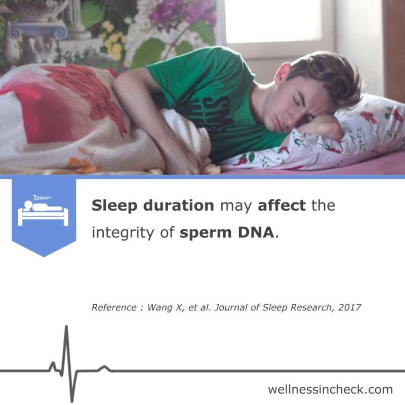 Lack Of Sleep Affect Sperm Quality