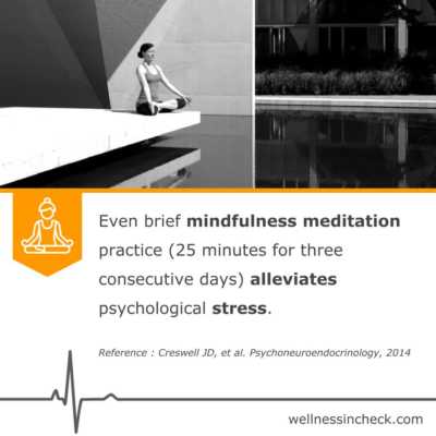 Stress & Brief Mindfulness Meditation