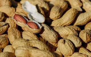 Are Peanuts Good For You? This is what Science has to say!