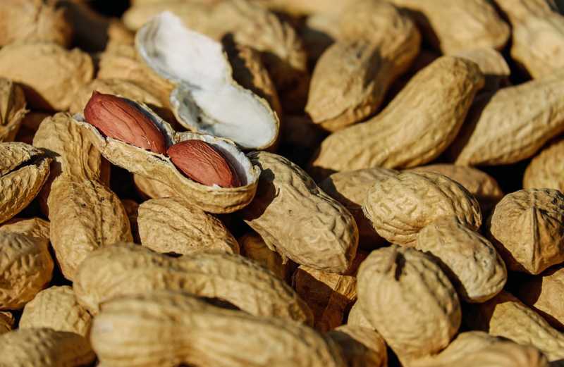 Are Peanuts Good For You?
